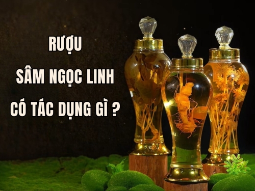 Rượu sâm Ngọc Linh có tác dụng gì? Vì sao được xem là món quà sang trọng bậc nhất?
